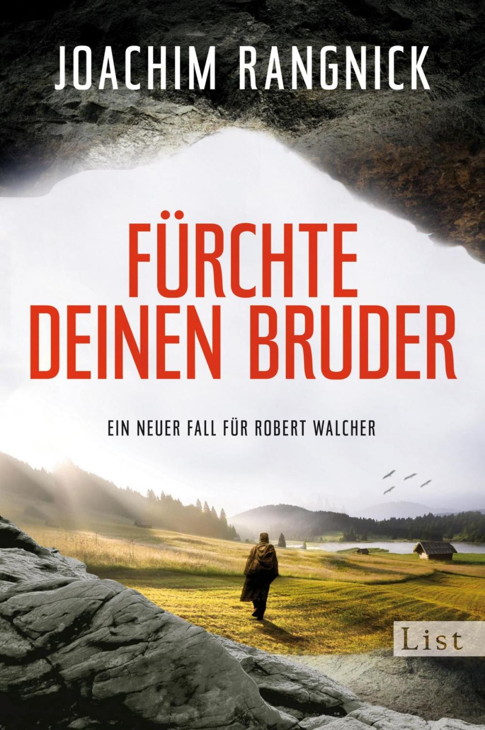 Big bigCover of Fürchte deinen Bruder