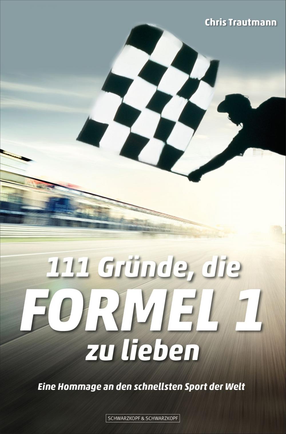 Big bigCover of 111 Gründe, die Formel 1 zu lieben