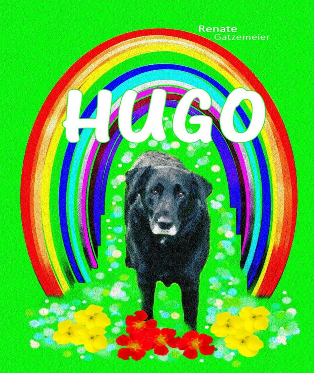 Big bigCover of Hugo, eine schöne Zeit neigt sich dem Ende