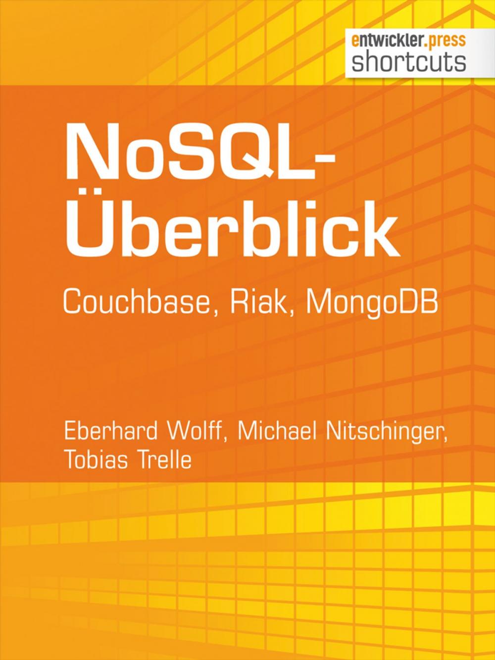 Big bigCover of NoSQL-Überblick