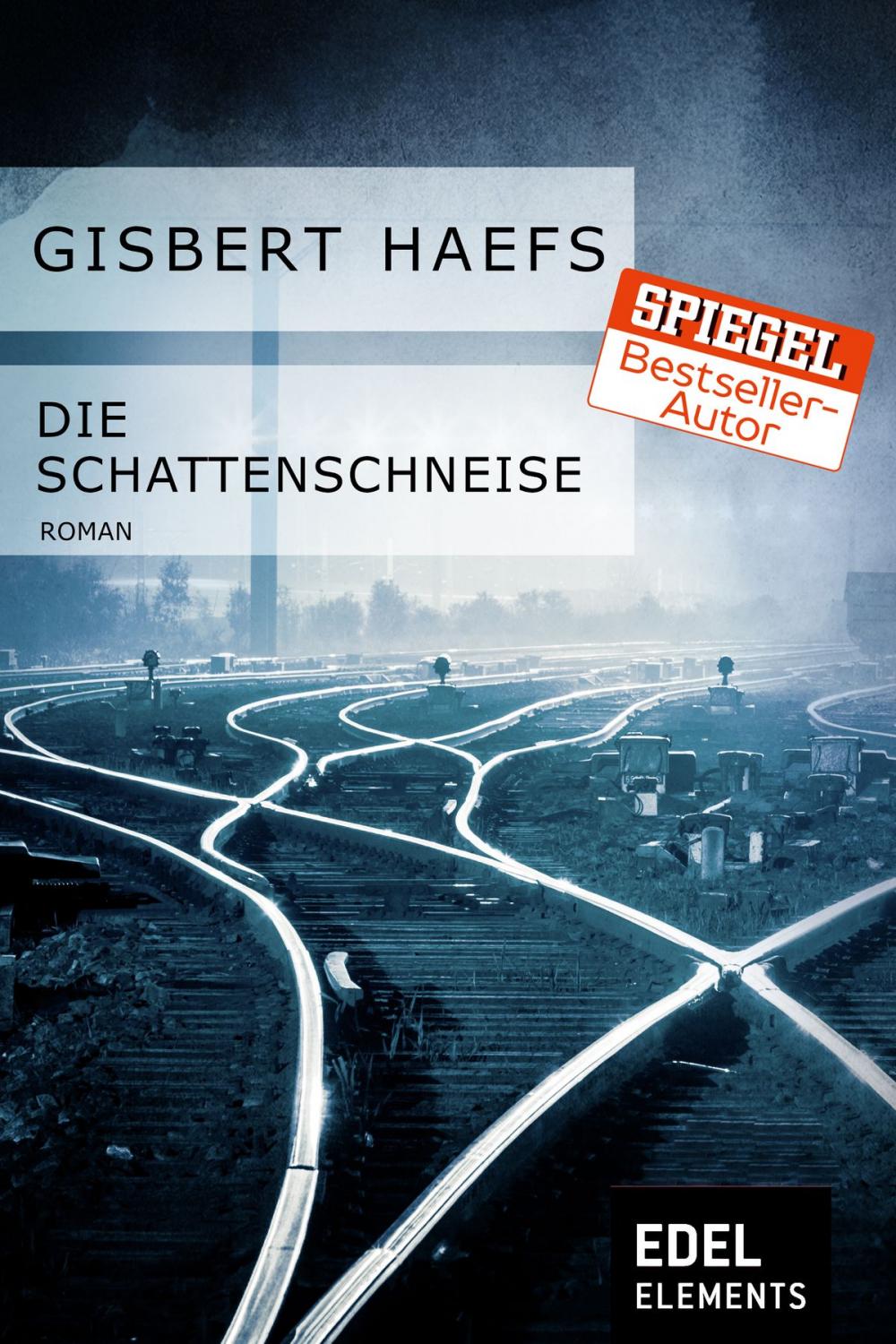 Big bigCover of Die Schattenschneise