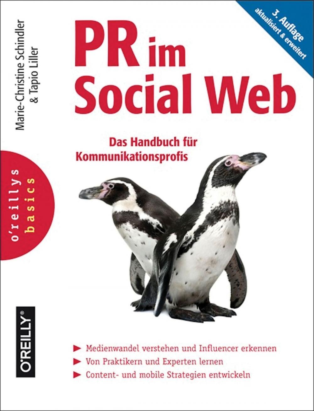 Big bigCover of PR im Social Web