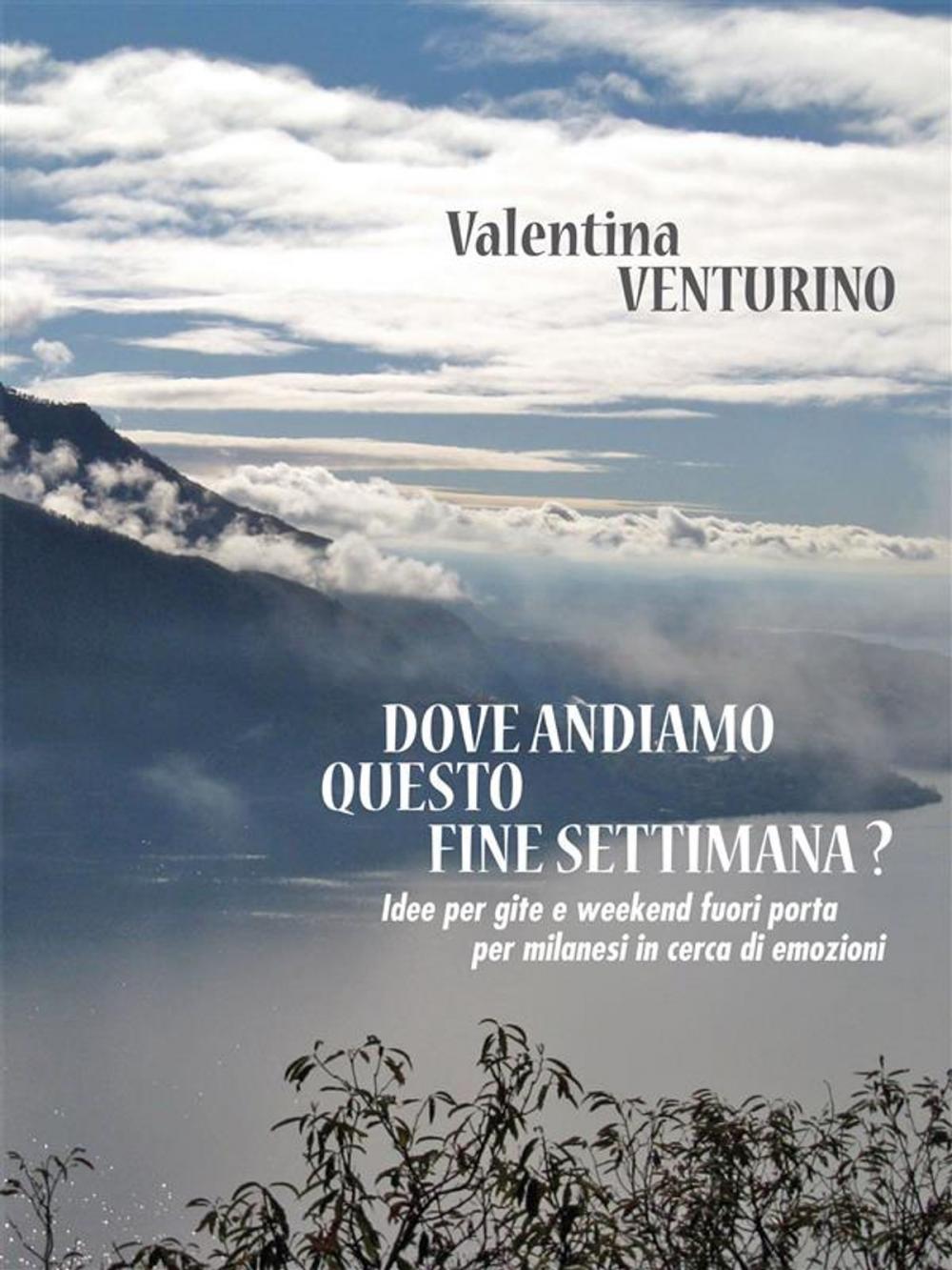 Big bigCover of Dove andiamo questo fine settimana?