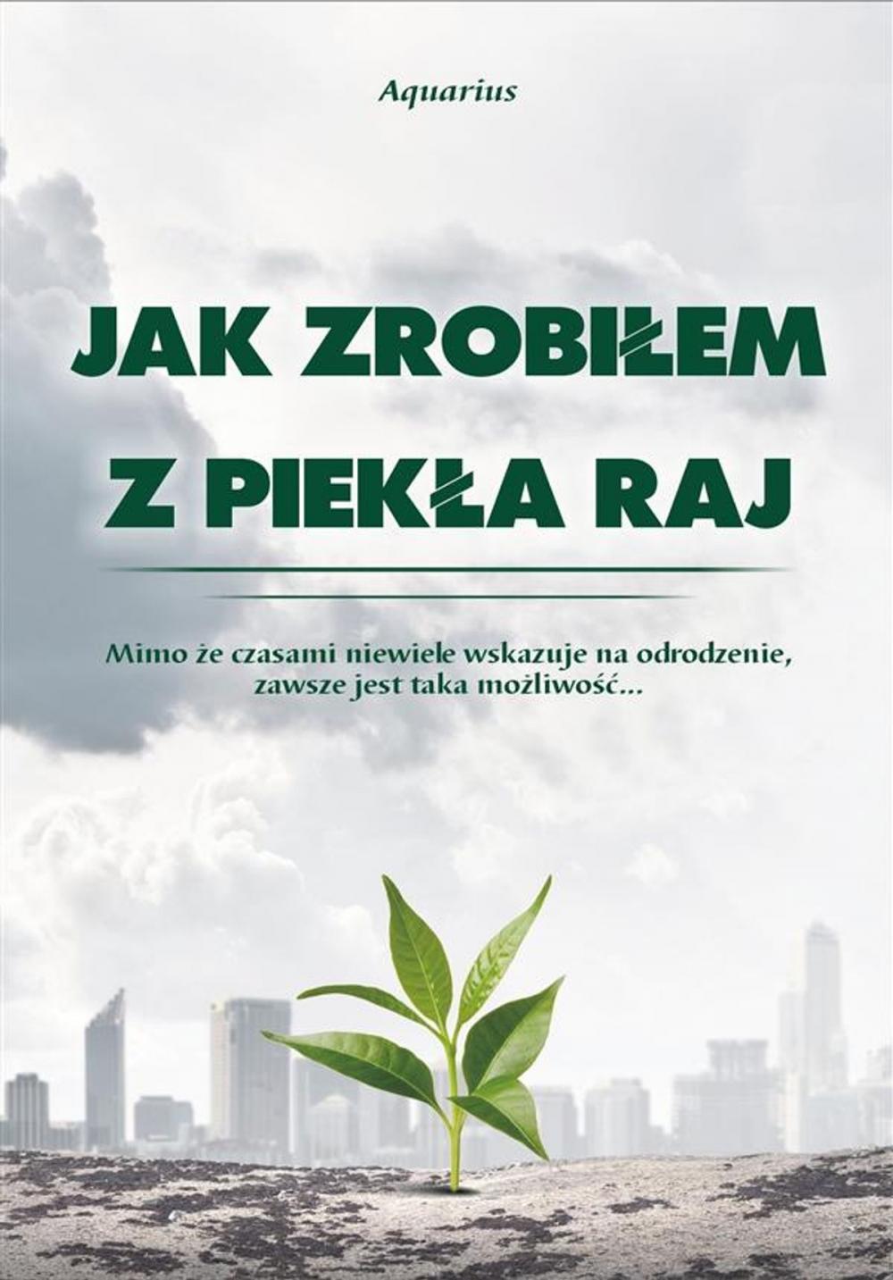 Big bigCover of Jak zrobiłem z piekła raj