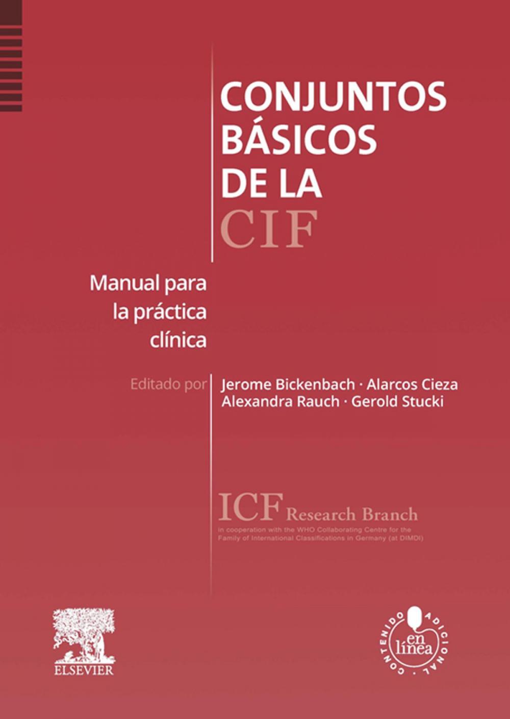 Big bigCover of Conjuntos básicos de la CIF + acceso web