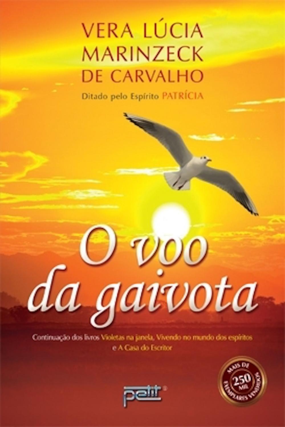 Big bigCover of O voo da gaivota