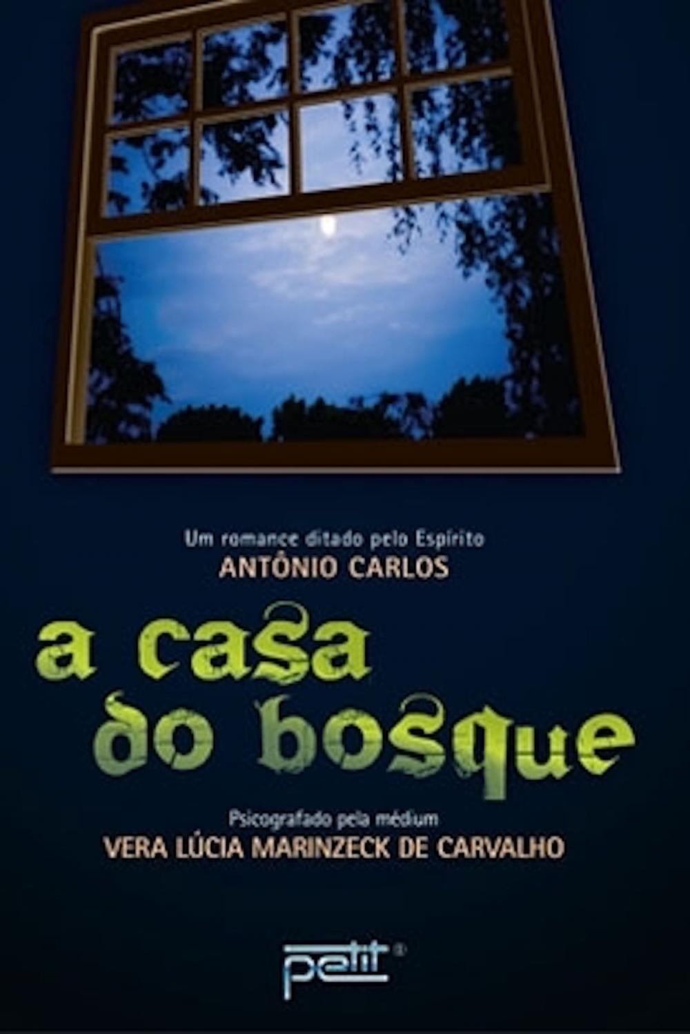 Big bigCover of A casa do bosque