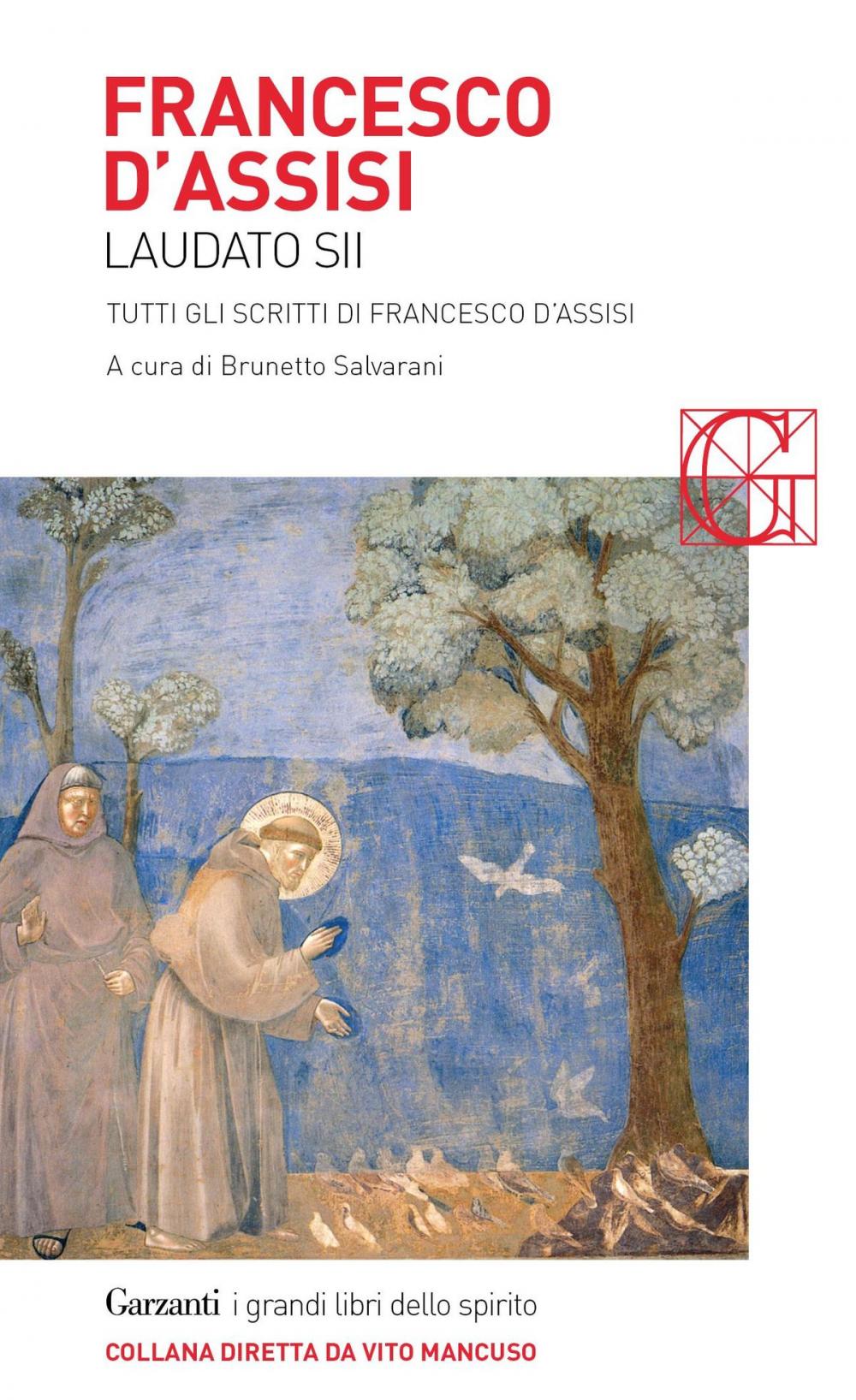 Big bigCover of Laudato sii