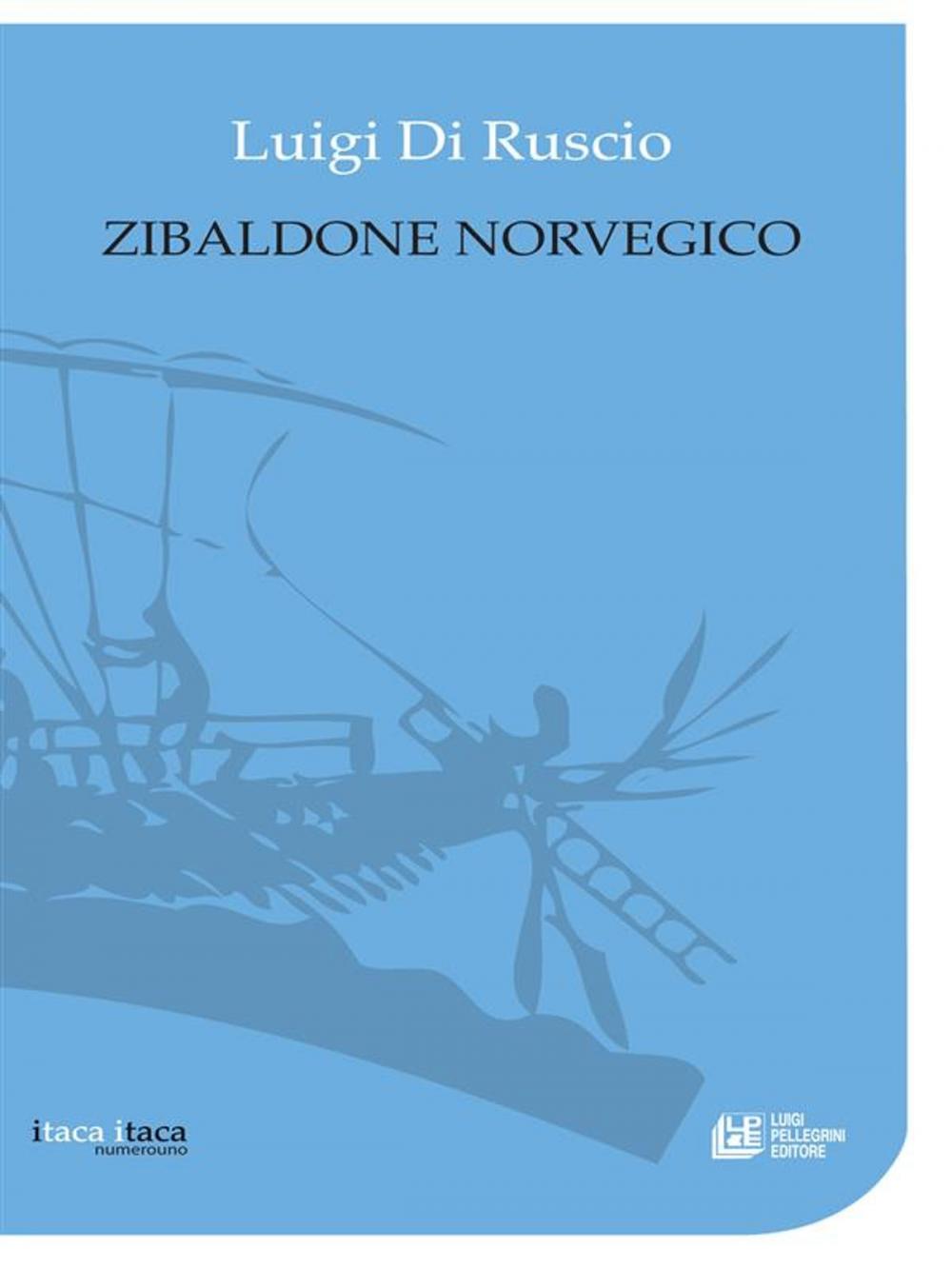 Big bigCover of Zibaldone Norvegico