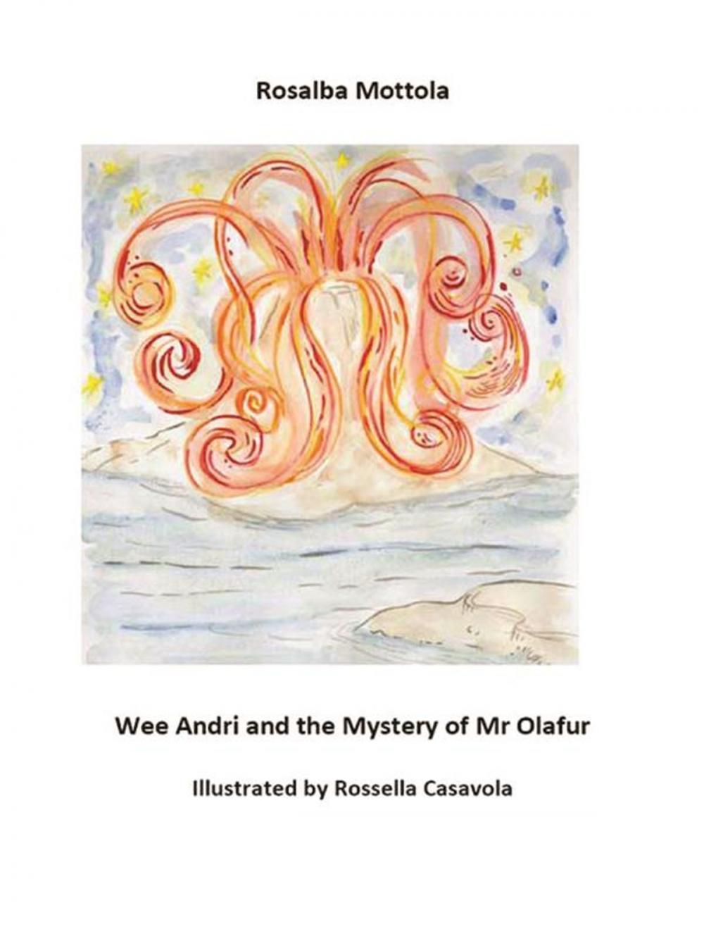 Big bigCover of Wee Andri and the Mystery of Mr Olafur