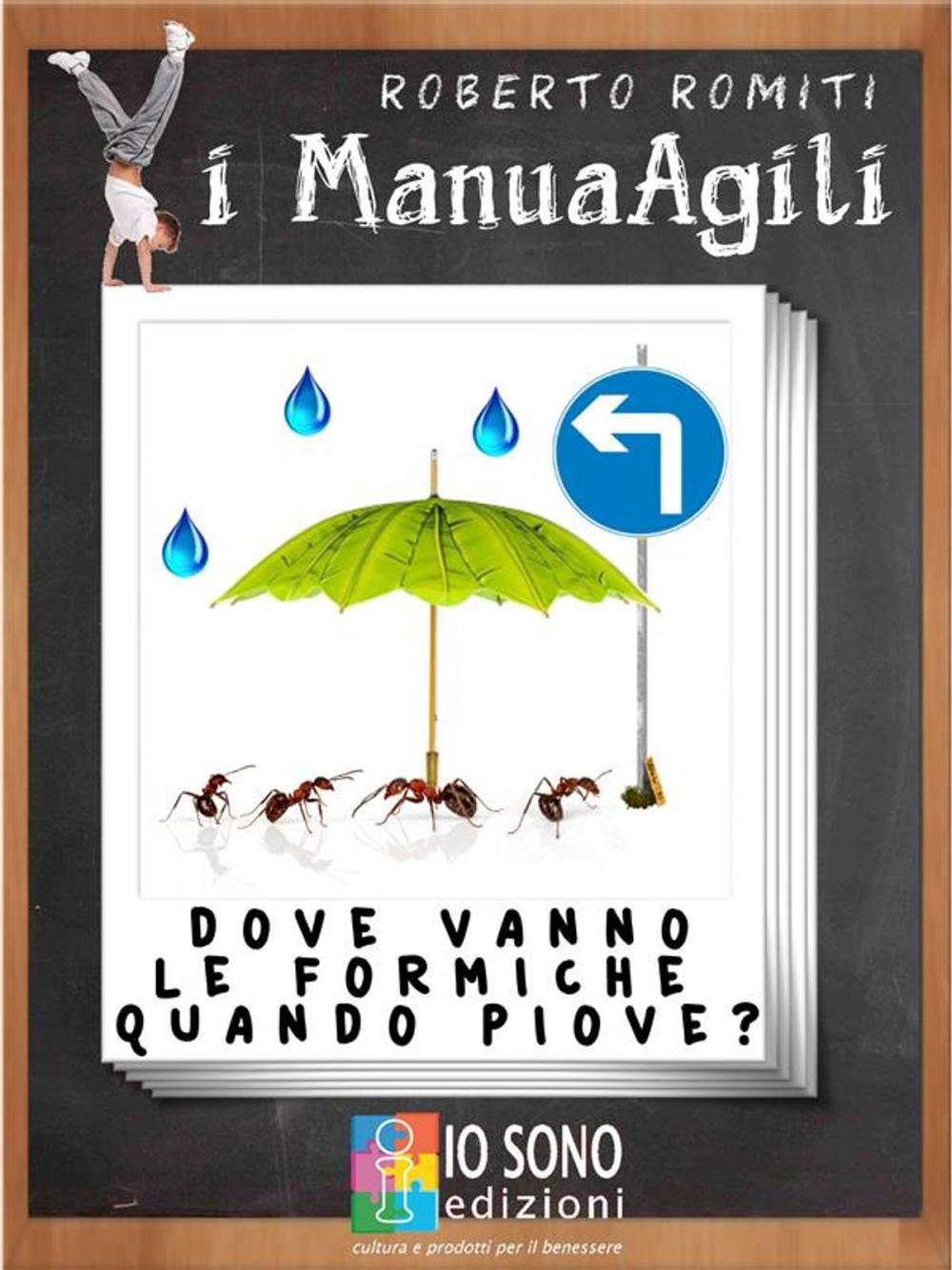 Big bigCover of Dove vanno le formiche quando piove