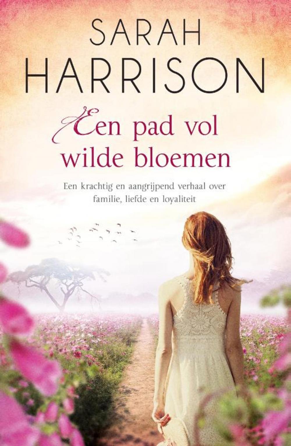 Big bigCover of Een pad vol wilde bloemen