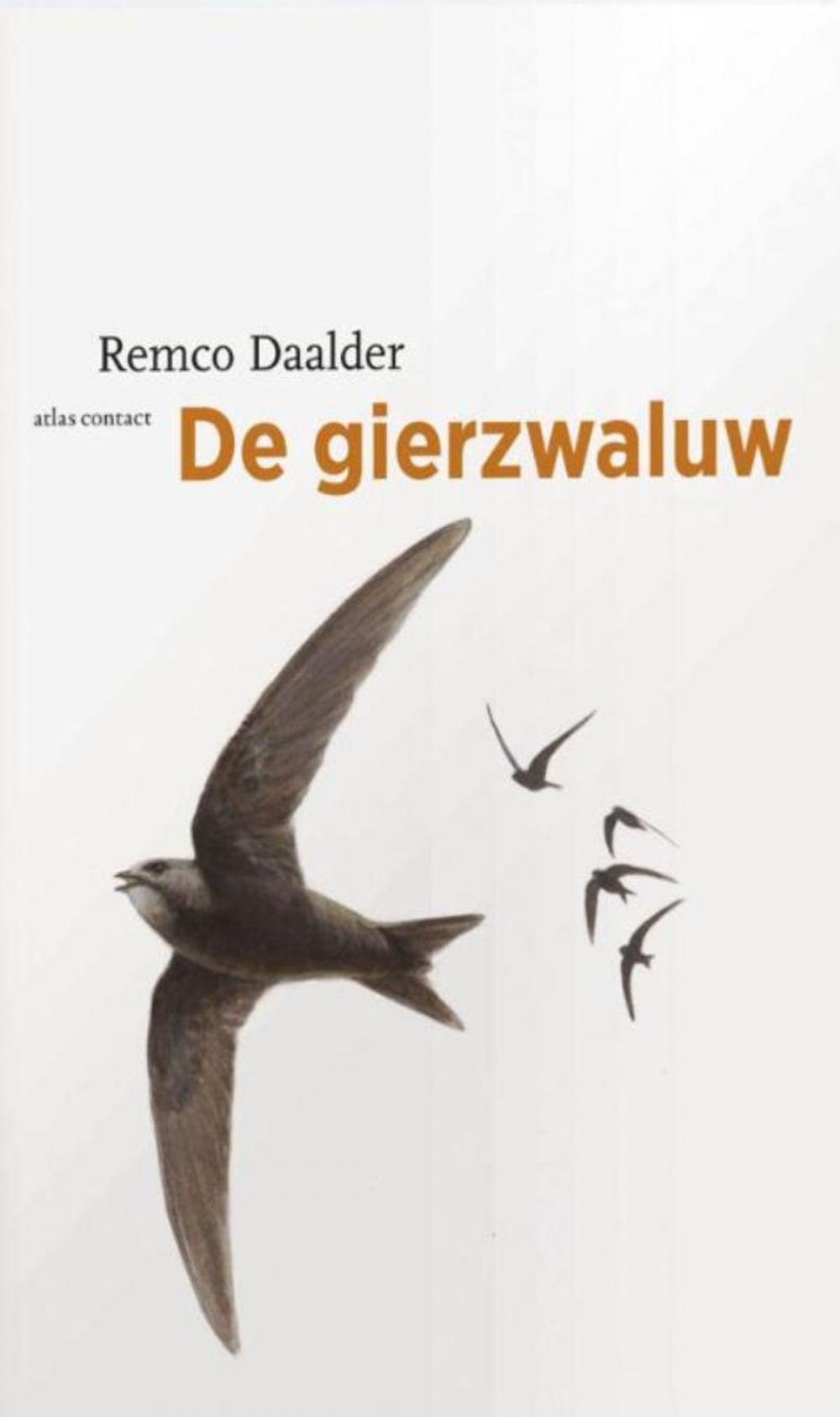 Big bigCover of De gierzwaluw