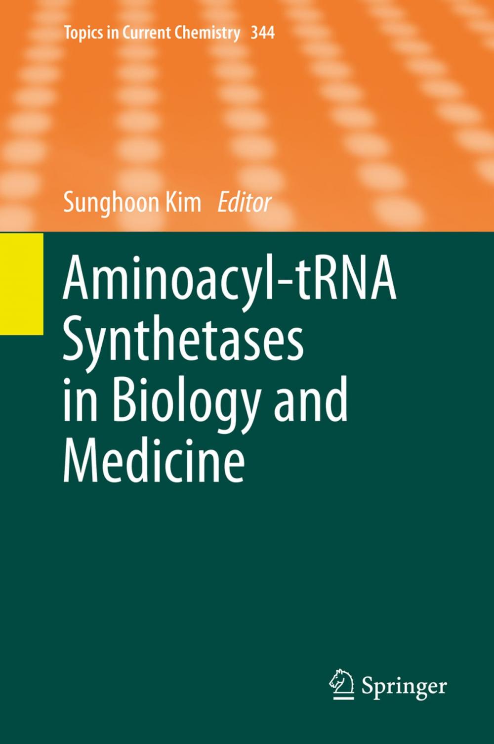 Big bigCover of Aminoacyl-tRNA Synthetases in Biology and Medicine