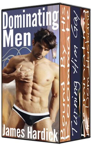 Cover of the book Dominating Men: Three Stories by Kate Van