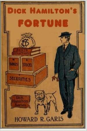 Book cover of Dick Hamilton's Fortune