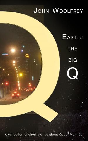Cover of the book East of the Big Q by Diane Descôteaux