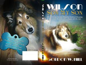 bigCover of the book Wilson Son My Son by 