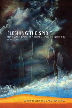 Cover of the book Fleshing the Spirit by Miriam Melton-Villanueva