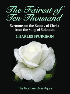 Cover of The Fairest of Ten Thousand