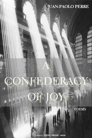 Cover of the book A Confederacy of Joy by JJ Brown