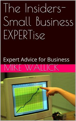 Cover of the book The Insiders- Small Business EXPERTise by 王小雅，莫理斯