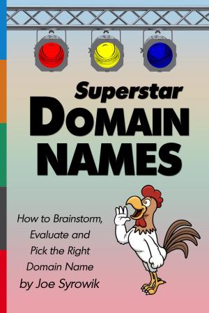 Cover of the book Superstar Domain Names: How to Brainstorm, Evaluate and Pick the Right Domain Name by David Papp