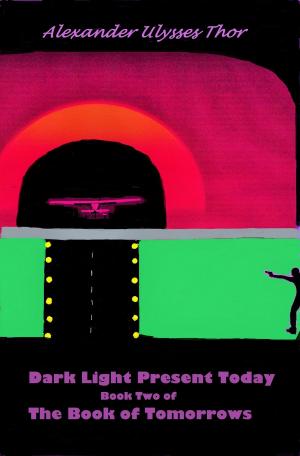 bigCover of the book Dark Light Present Today: Book Two of The Book of Tomorrows by 