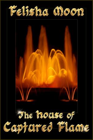 Cover of the book The House of Captured Flame by E.E. Blackwood
