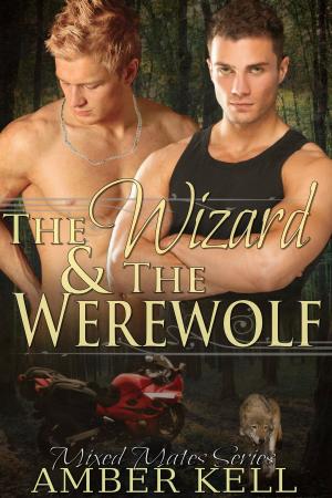 Cover of the book The Wizard and The Werewolf by Amber Kell, RJ Scott