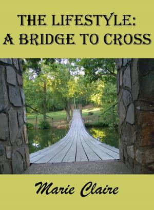 Cover of the book The Lifestile: a Bridge to Cross by Dr. Michael Monroe Kiefer