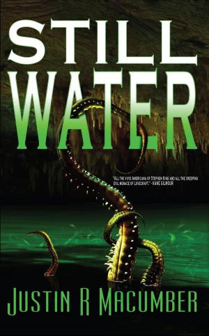 Cover of the book Still Water by David Debord