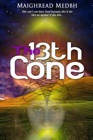 Cover of the book The 13th Cone by John O'Riley