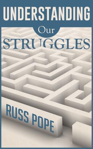 bigCover of the book Understanding Our Struggles by 