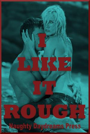 Cover of the book I Like It Rough by DP Backhaus