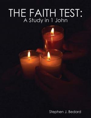 Cover of the book The Faith Test by Jim Pruitt