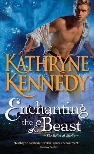 Cover of the book Enchanting the Beast by Andy Kendeigh