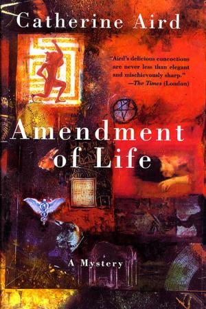 Cover of the book Amendment of Life by Ellery Queen