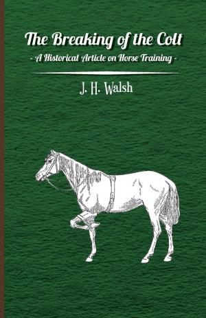 Cover of The Breaking of the Colt - A Historical Article on Horse Training