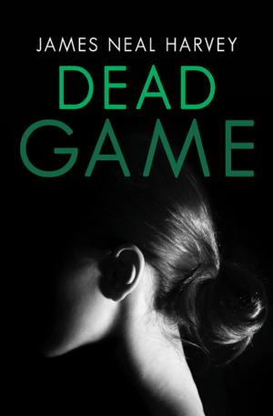 Cover of the book Dead Game by Robert Spirko
