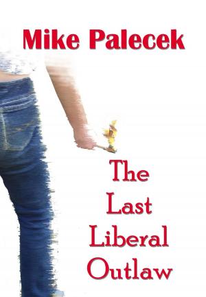Cover of The Last Liberal Outlaw