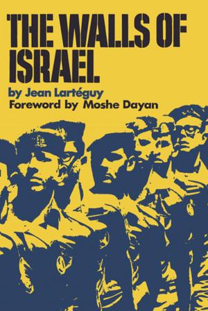Cover of the book The Walls of Israel by Barbara Doyen