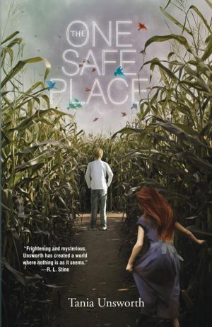 Cover of the book The One Safe Place by Lauren Grodstein
