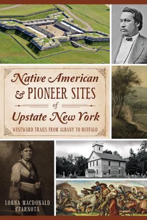 Cover of the book Native American & Pioneer Sites of Upstate New York by Donovan A. Shilling