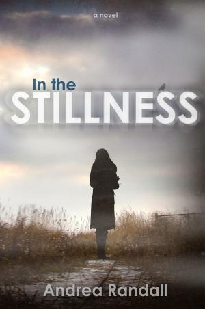 Cover of the book In The Stillness by Khalil Sheehan-Miles