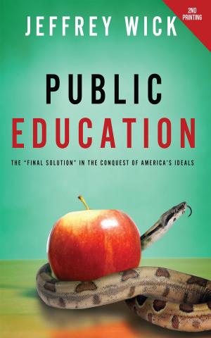 Cover of the book Public Education by Marc S. Allan