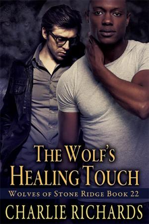 Cover of the book The Wolf's Healing Touch by Judy, Keith
