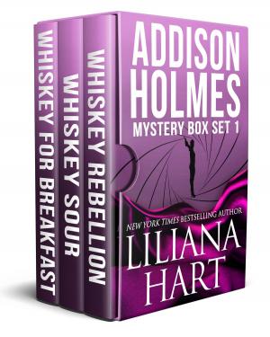 Cover of the book The Addison Holmes Mystery Box Set by Greg Saunders