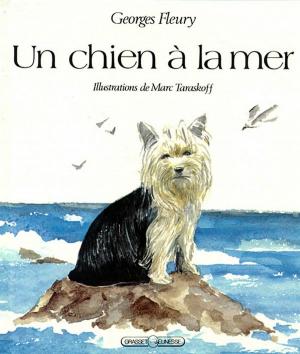 Cover of the book Un chien à la mer by Robert Galbraith, J. K. Rowling