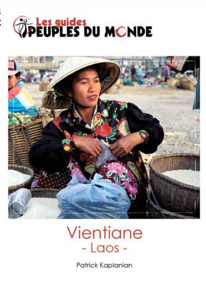 Cover of the book Vientiane by JeBouffe